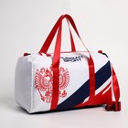 УЦЕНКА Сумка спортивная «PRESIDENT», 47×28×24 см, цвет триколор 7867222