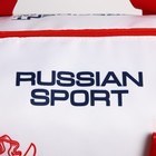 УЦЕНКА Сумка спортивная «PRESIDENT», 47×28×24 см, цвет триколор 7867222