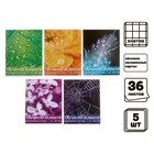 Комплект тетрадей из 5 штук, 36 листов в клетку Calligrata "Микромир", обложка мелованный картон, блок офсет - фото 6366147