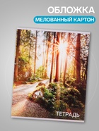 Тетради 96 листов в клетку Calligrata «Природа», серые листы, 4 штуки - Фото 2