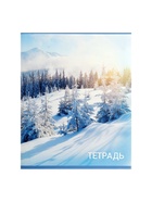 Тетради 96 листов в клетку Calligrata «Природа», серые листы, 4 штуки - Фото 7