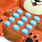 Музыкальный телефон «Весёлый мишка», звук, свет - фото 156771