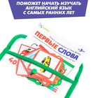 Развивающий набор «Первые слова», по методике Г.Домана, 40 карточек - фото 6164415
