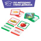 Развивающий набор «Первые слова», по методике Г.Домана, 40 карточек - фото 6164416