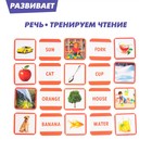 Развивающий набор «Первые слова», по методике Г.Домана, 40 карточек - фото 6164417