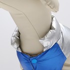 Куртка для собак с утяжкой размер 14 (ДС 32, ОГ 42, ОШ 31), серебряно-синяя - фото 26748370