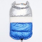 Куртка для собак с утяжкой размер 14 (ДС 32, ОГ 42, ОШ 31), серебряно-синяя - фото 26748373