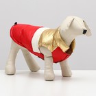 Куртка для собак с утяжкой размер 14 (ДС 32, ОГ 42, ОШ 31), золото-красная - фото 3946441