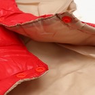 Куртка для собак с утяжкой размер 14 (ДС 32, ОГ 42, ОШ 31), золото-красная - Фото 9