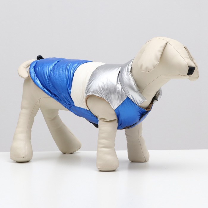 Куртка для собак с утяжкой размер 10 (ДС 25, ОГ 34,ОШ 24), серебряно-синяя - Фото 1