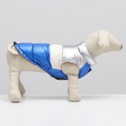 Куртка для собак с утяжкой размер 10 (ДС 25, ОГ 34,ОШ 24), серебряно-синяя - фото 6704643