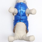 Куртка для собак с утяжкой размер 10 (ДС 25, ОГ 34,ОШ 24), серебряно-синяя - Фото 5