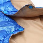 Куртка для собак с утяжкой размер 10 (ДС 25, ОГ 34,ОШ 24), серебряно-синяя - фото 6704650
