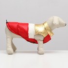 Куртка для собак с утяжкой размер 10 (ДС 25, ОГ 34,ОШ 24), золото-красная - Фото 2