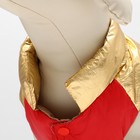 Куртка для собак с утяжкой размер 10 (ДС 25, ОГ 34,ОШ 24), золото-красная - фото 6704654