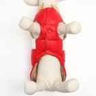 Куртка для собак с утяжкой размер 10 (ДС 25, ОГ 34,ОШ 24), золото-красная - фото 6704655