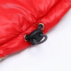 Куртка для собак с утяжкой размер 10 (ДС 25, ОГ 34,ОШ 24), золото-красная - Фото 8