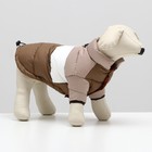 Куртка для собак с утяжкой размер 12 (ДС 28, ОГ 38, ОШ 27), бежево-коричневая - фото 9997345