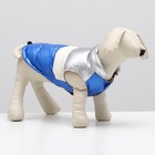 Куртка для собак с утяжкой. размер 18 (ДС 40 см, ОГ 50 см, ОШ 38 см), серебряно-синяя - фото 319068562
