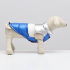 Куртка для собак с утяжкой. размер 18 (ДС 40 см, ОГ 50 см, ОШ 38 см), серебряно-синяя - Фото 2