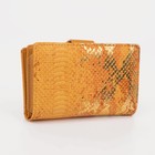 Кошелек жен 10-01-01, 9*3*14 см, 3отд+2отд/молн, д/карт, д/монет, на магните, желтый - фото 805039911
