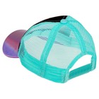 Кепка детская с сеткой, размер 52-56 «Коты аристократы» - фото 35249690