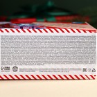 Конфеты в коробке-письме «Новогодняя посылка», 300 г. - Фото 6