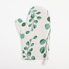 Варежка - прихватка «Доляна. Эвкалипт» 20×27 см, 100% хлопок, ватин 250 г/м² - Фото 2