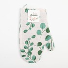 Варежка - прихватка «Доляна. Эвкалипт» 20×27 см, 100% хлопок, ватин 250 г/м² - Фото 4