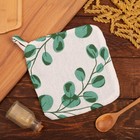 Прихватка «Доляна. Эвкалипт», 19×19 см, 100% хлопок, ватин 250 г/м² - Фото 1