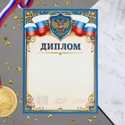 Диплом "Символика РФ" бумага, А4 - фото 9999539