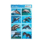 Декоративные наклейки "Дельфины" 16х10 см - фото 7487304