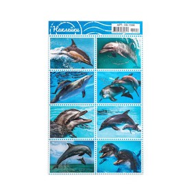 Декоративные наклейки "Дельфины" 16х10 см (комплект 20 шт)