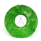 Каркас флористический зеленое яблоко 15 см (комплект 5 шт) - фото 24288243