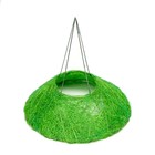 Каркас флористический зеленое яблоко 15 см (комплект 5 шт) - фото 24288244