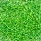 Каркас флористический зеленое яблоко 15 см (комплект 5 шт) - фото 24288245