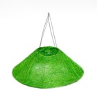 Каркас флористический зеленое яблоко 30 см (комплект 5 шт) - фото 21787199