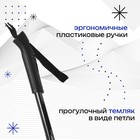 Палки лыжные стеклопластиковые, длина 165 см - Фото 2