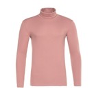 Водолазка мужская MINAKU: Basic line MAN цвет терракот, размер 52 - Фото 6