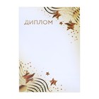 Диплом «Звезды», бело-золотой, 157 г/м² - Фото 2
