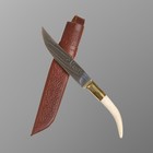 Нож Пчак Шархон - Чирчик, касуля мини, гарда латунь, шахрихан гравировка. 95х18 (10-12 см) - фото 11893599