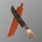 Нож Пчак Шархон - Большой-шеф, косуля, широкая рукоять, гарда олово гравировка. ШХ-15 (20-22 - фото 9763515