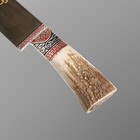 Нож Пчак Шархон - Большой-шеф, косуля, широкая рукоять, гарда олово гравировка. ШХ-15 (20-22 - Фото 2