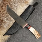 Нож Пчак Шархон - Большой-шеф, косуля, широкая рукоять, гарда олово гравировка. ШХ-15 (20-22 - Фото 5