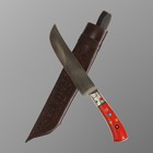 Нож Пчак Шархон - Большой, эбонит, сухма, гарда мельхиор. ШХ-15 (17-19 см) - фото 3967511