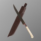 Нож Корд Куруш - Большой узкий, кость, ёрма, гарда гравировка олово. ШХ-15 (17-18 см) - фото 2946302