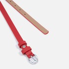 Ремень, ширина 1.5 см, винт, цвет красный 9285618