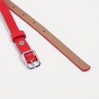 Ремень, ширина 1.5 см, винт, цвет красный 9285630