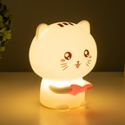 Ночник-мякиш "Котенок" LED от USB и АКБ 12х10х16,3 см RISALUX - Фото 3