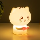 Фигурка светящаяся RISALUX «Котенок», LED-ночник, мякиш, от USB, АКБ, 12×10×16.3 см 7860252 - фото 2791158